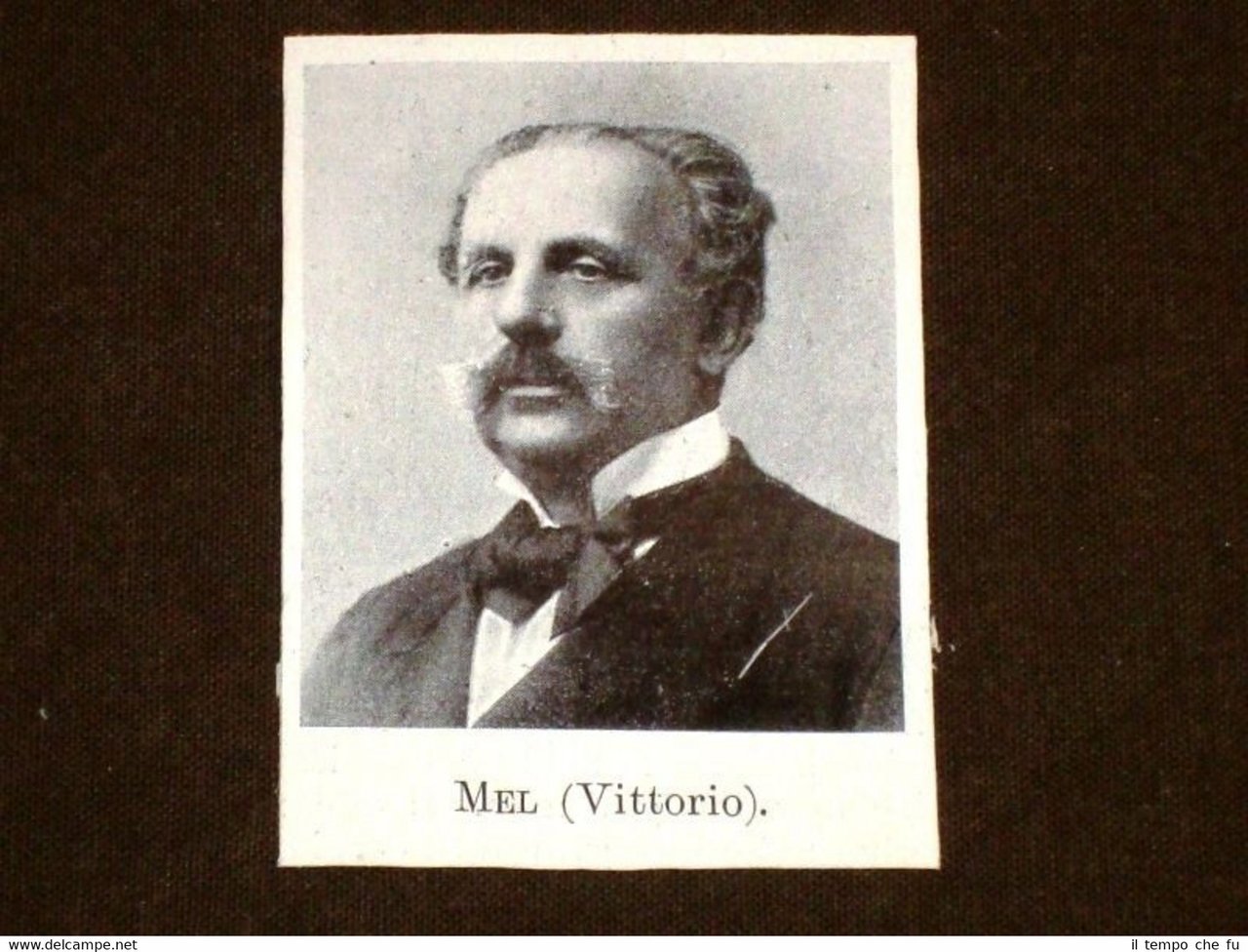 Onorevole Mel di Vittorio Deputato in Italia nel 1900