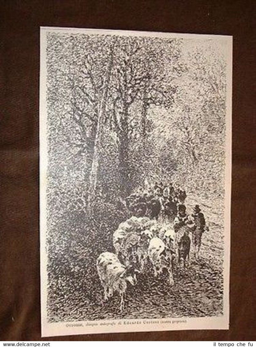 Ottobre Disegno di Edoardo Cortese