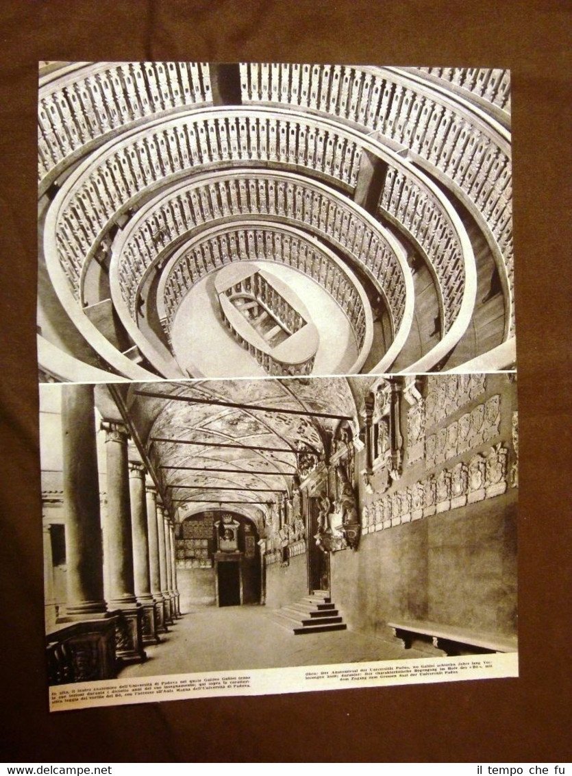 Padova nel 1942 Teatro anatomico dell'università Loggia Cortile del Bò …