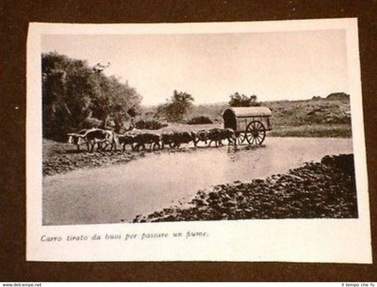 Paraná Carro tirato da buoi per passare un fiume Brasile | Immagine principale