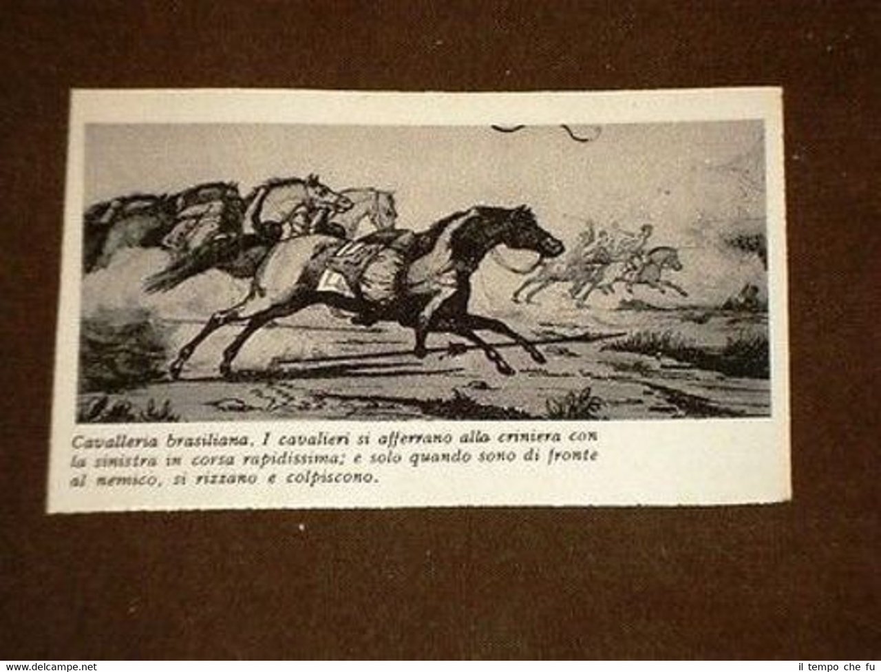 Paraná Cavalleria o Cavalieri del Brasile