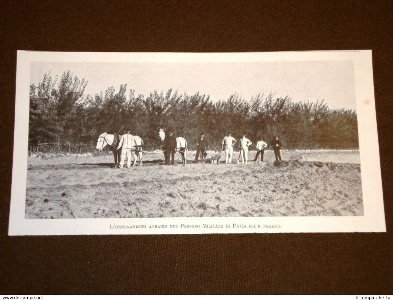Pavia nel 1905 Insediamento agrario nel presidio militare