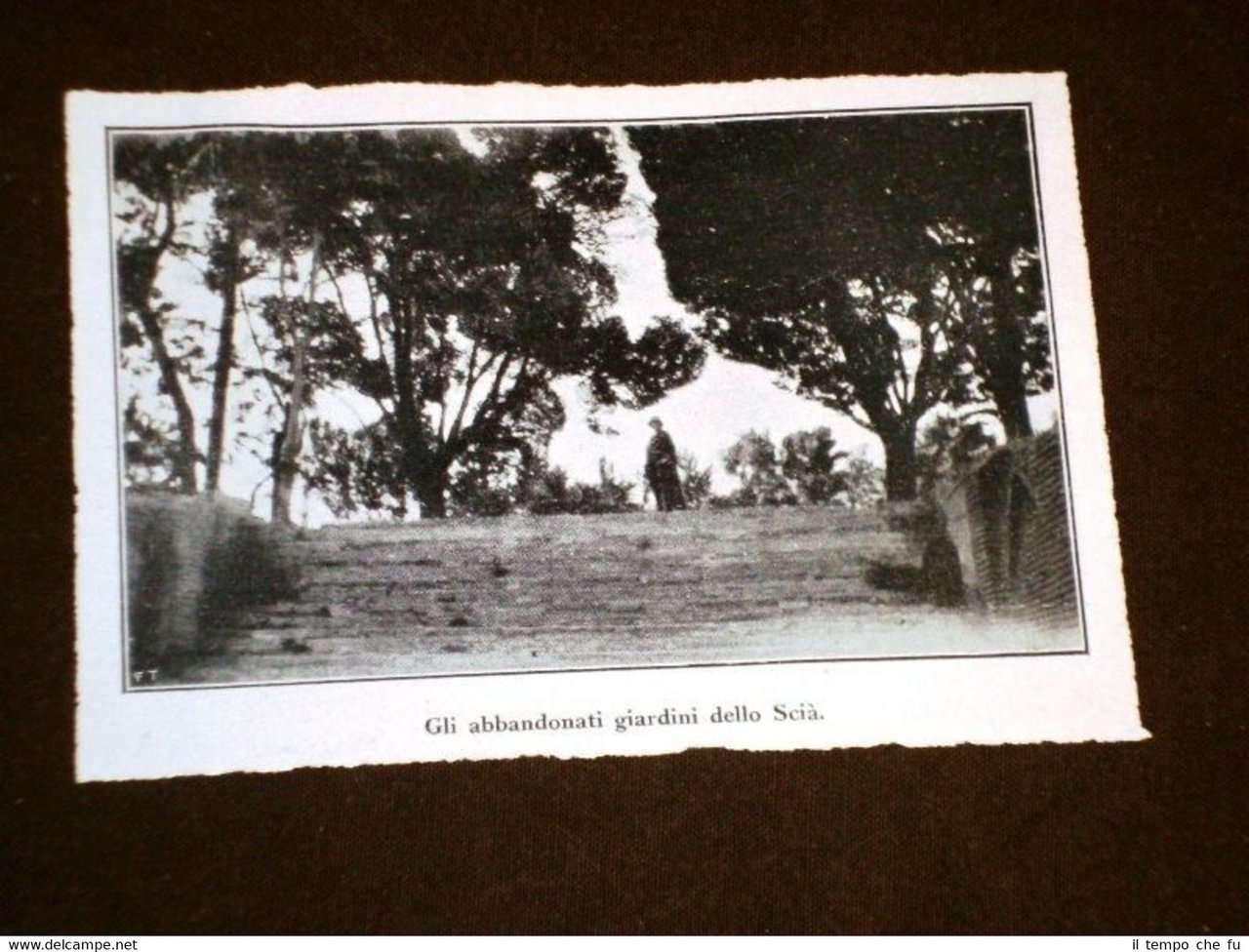 Persia nel 1926 Gli abbandonati giardini dello Scià