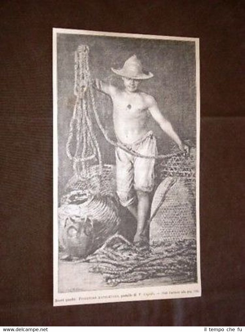 Pescatore Napoletano Pesca di Vincenzo Caprile Napoli