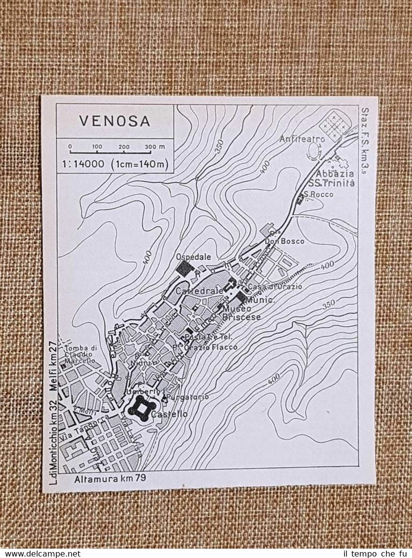 Pianta o piantina del 1965 La città di Venosa Basilicata …