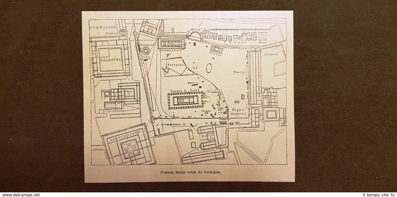 Pianta o piantina della città di Olimpia del 1895 Grecia