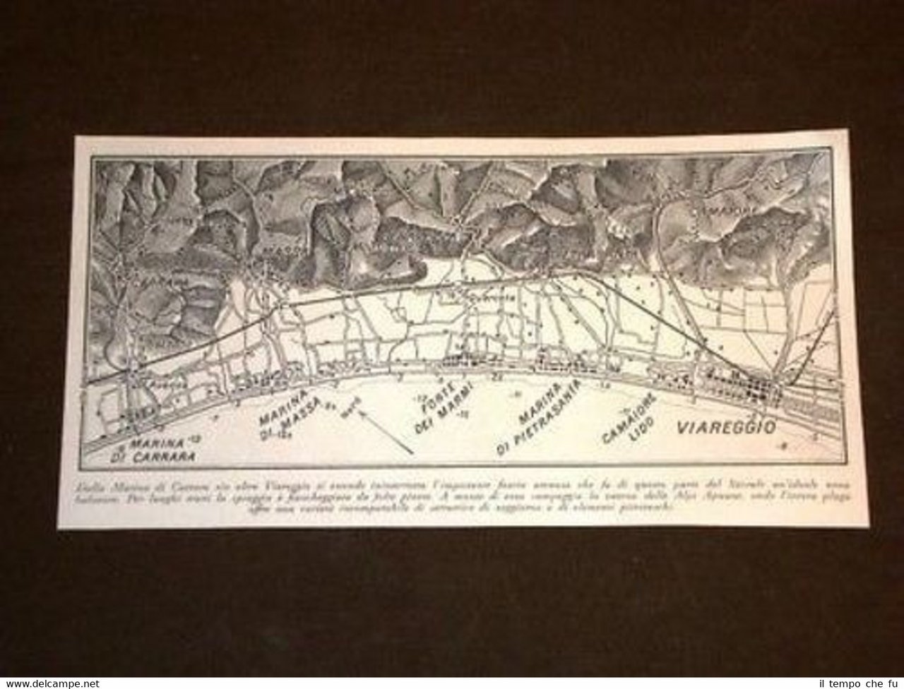 Piantina di Marina di Carrara di Massa di Pietrasanta