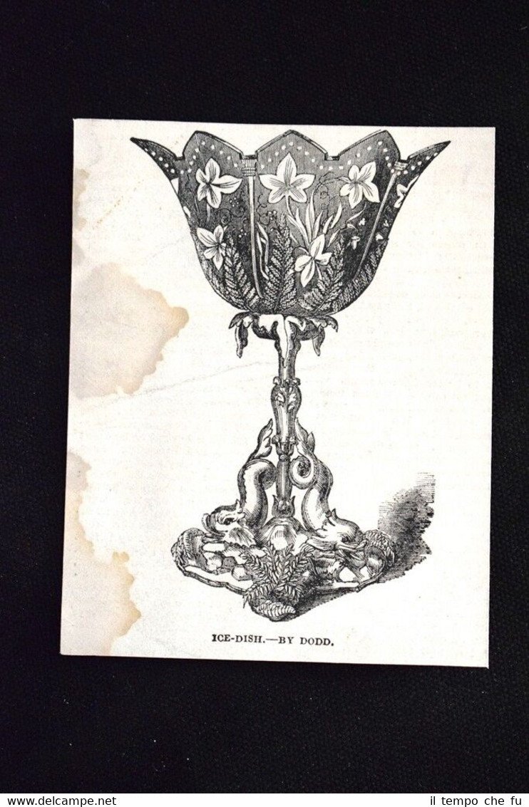 Piatto di ghiaccio, di Dodd Incisione del 1851