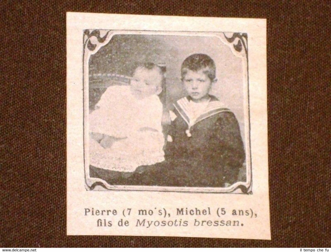Pierre et Michel Fils de Myosotis Bressan