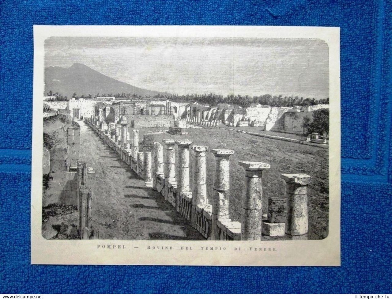 Pompei nel 1877: Rovine del Tempio di Venere