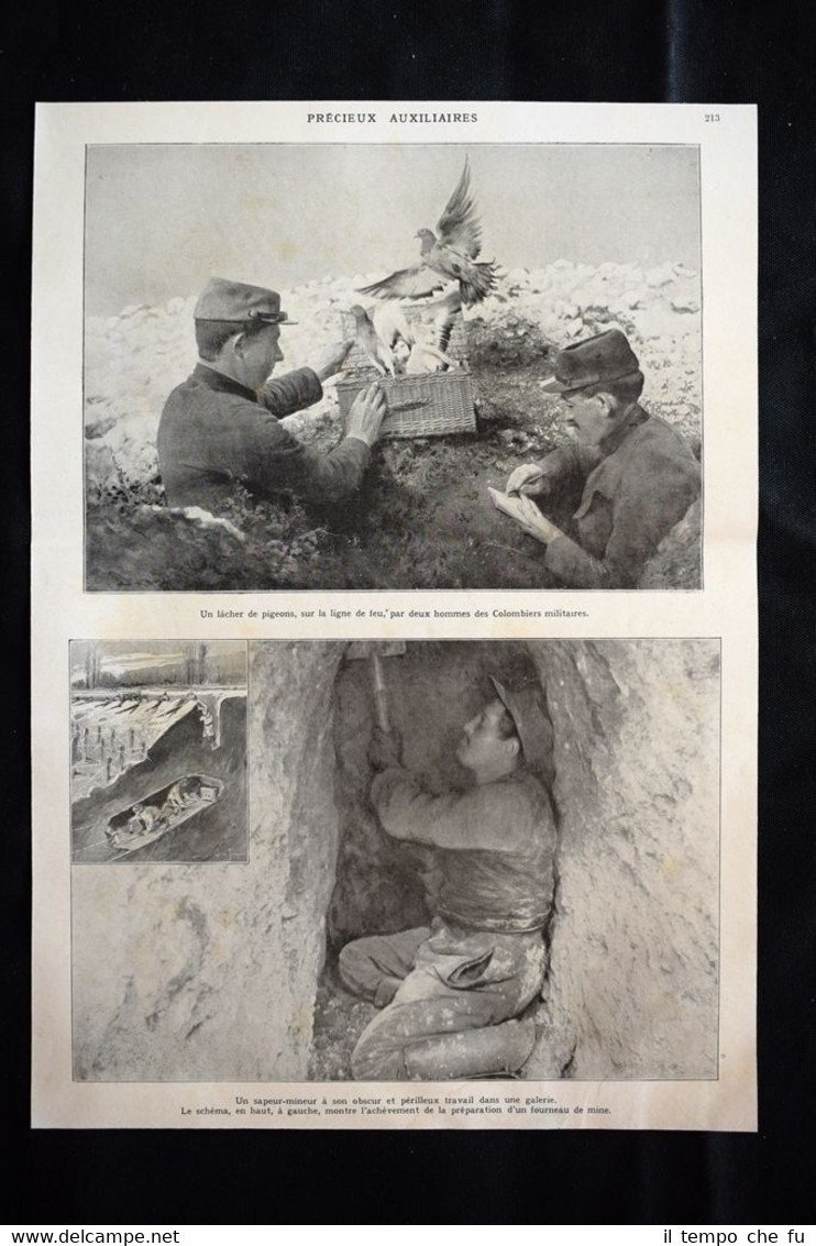 Précieux auxiliaires, Colombiers, Sapeur-mineur WW1 Guerra 1914 - 1918