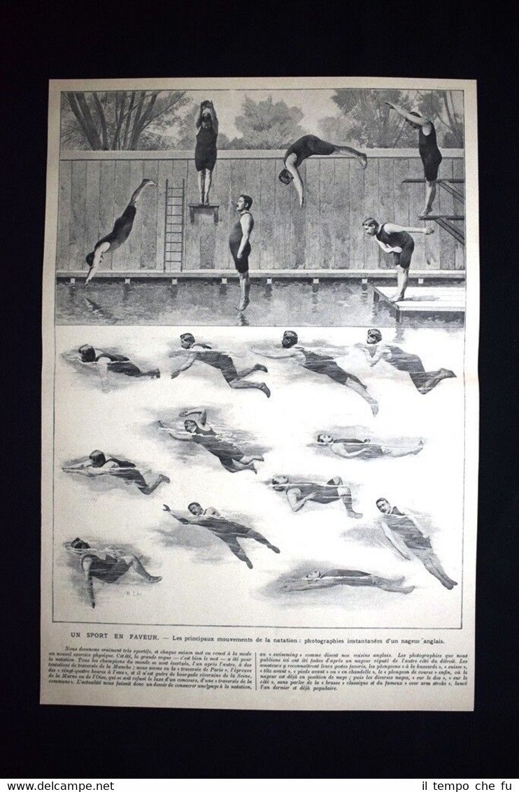 Principali movimenti del nuoto: fotografie di nuotatore inglese Stampa del …