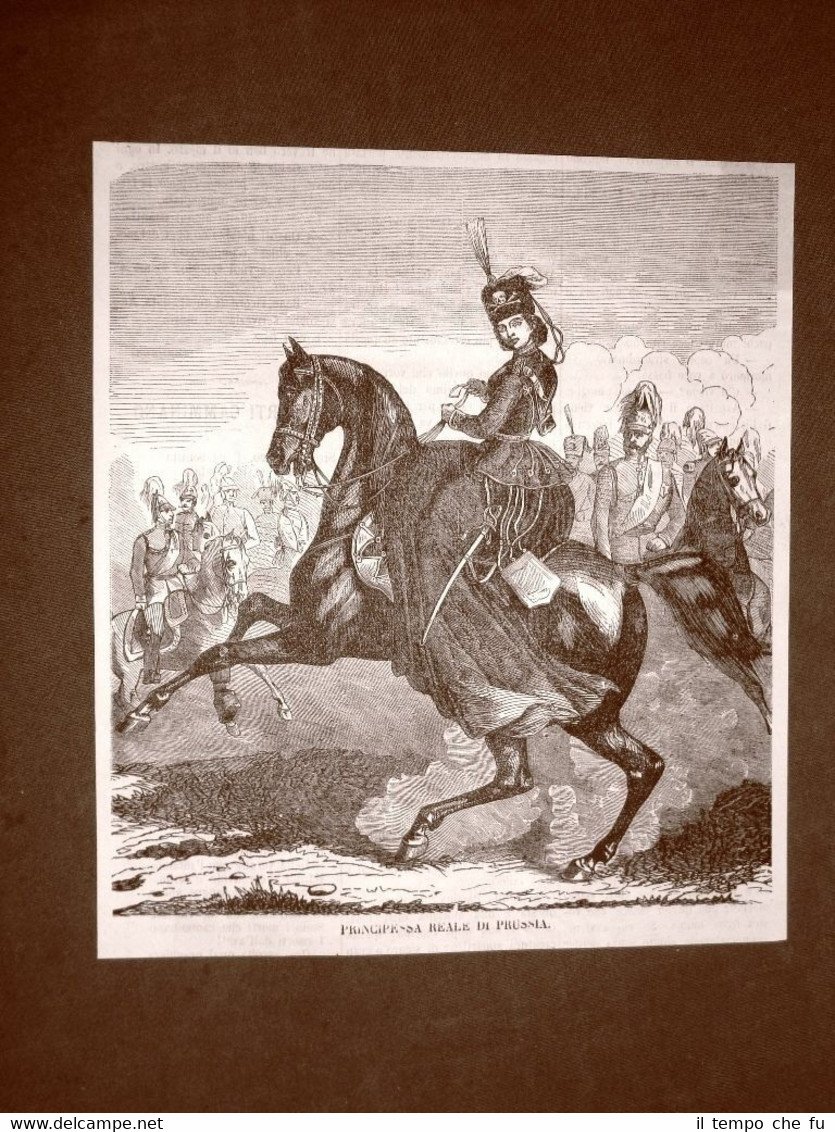 Principessa Luisa di Prussia Berlino 3 dicembre 1838 Baden-Baden 23 …