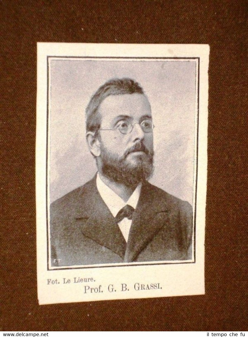 Professore G.B.Grassi Senatore nel 1908