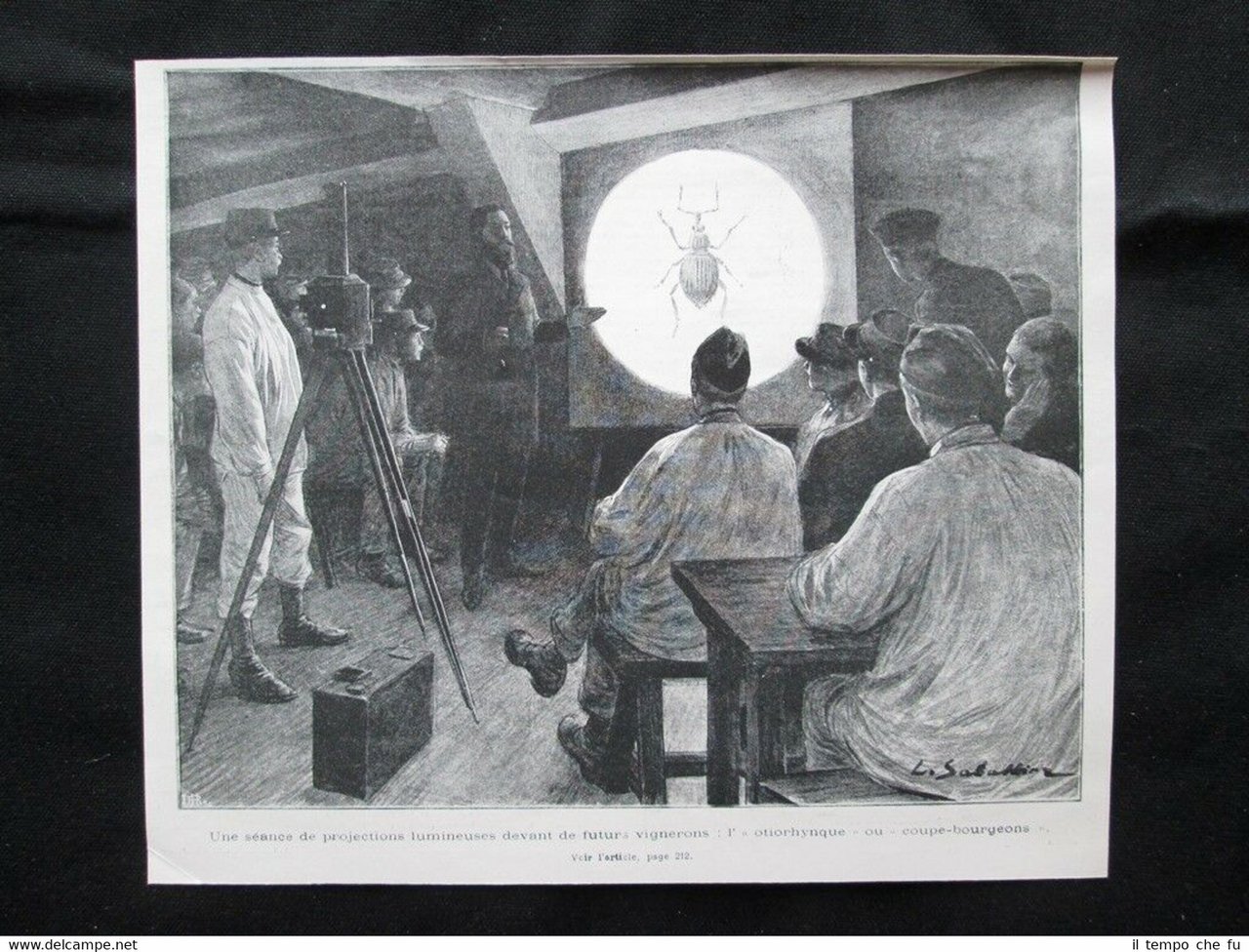 Proiezioni luminose di fronte ai futuri vignaioli: l'Oziorinco Stampa del …