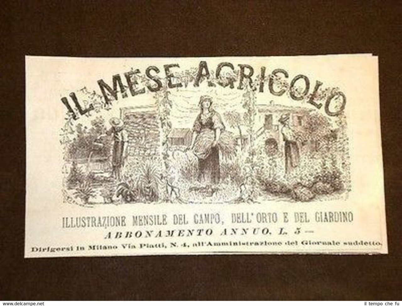 Pubblicità d'Epoca per collezionisti Il Mese agricolo del Campo, orto …