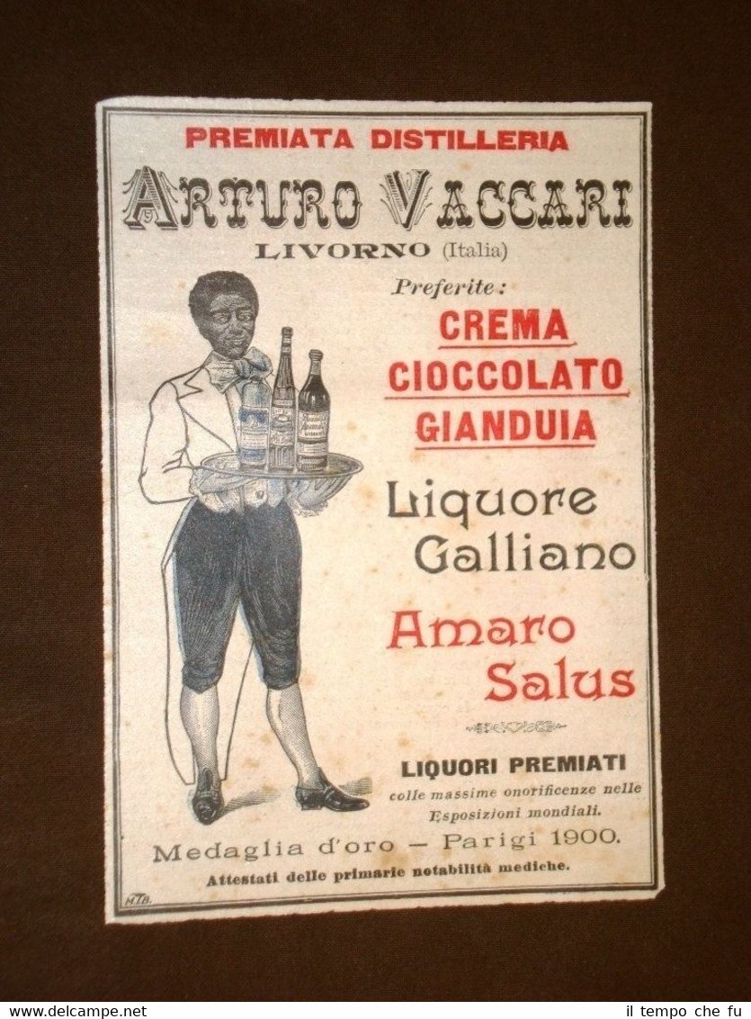 Pubblicità del 1901 Amaro Salus Distilleria Arturo Vaccari Livorno