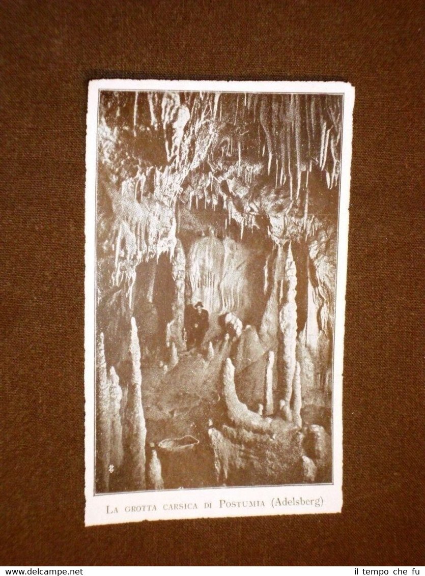 Rara stampa dei primi del 1900 Grotta carsica di Postumia, … | Immagine principale