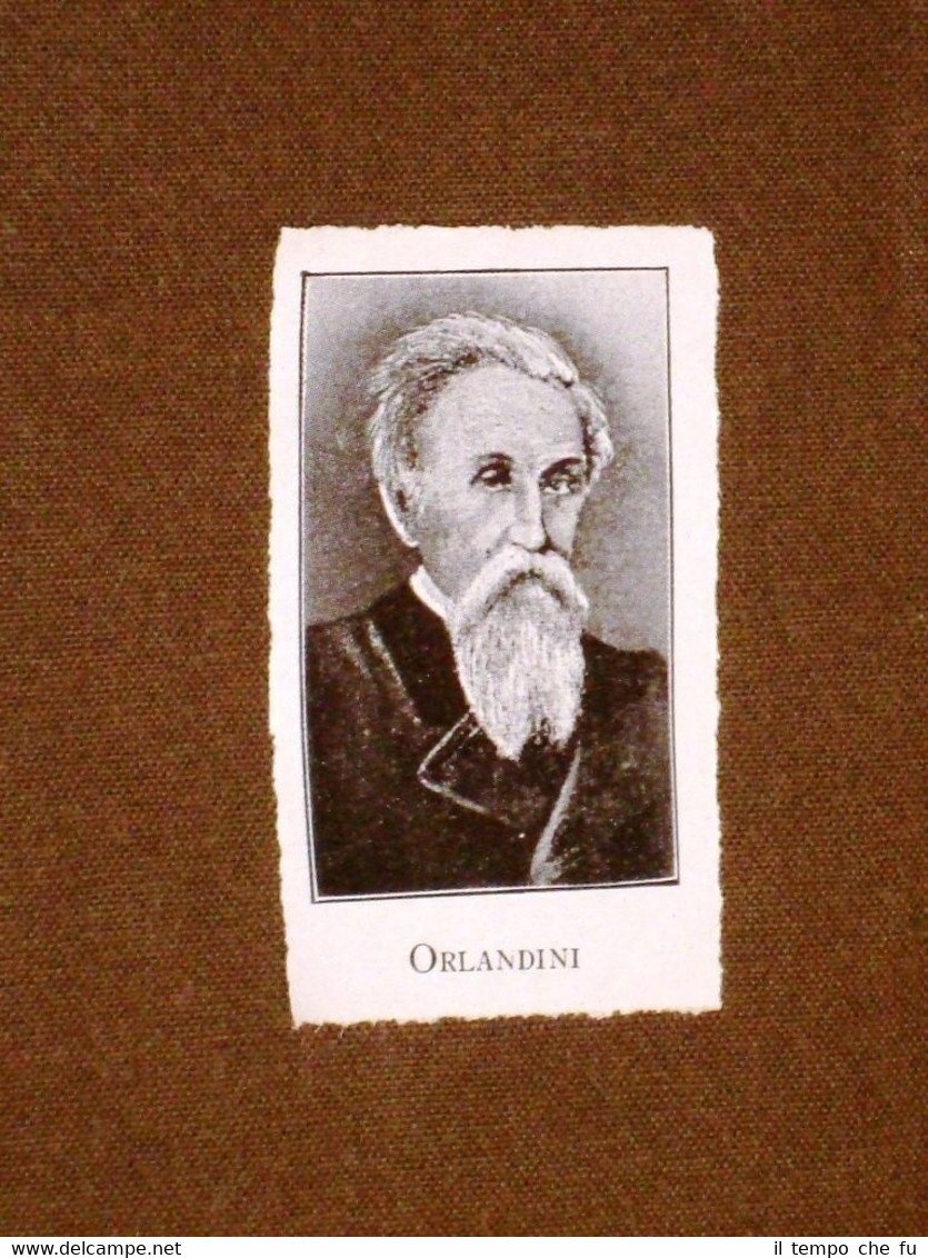 Rara stampa dei primi del 1900 Patriota Orlandini