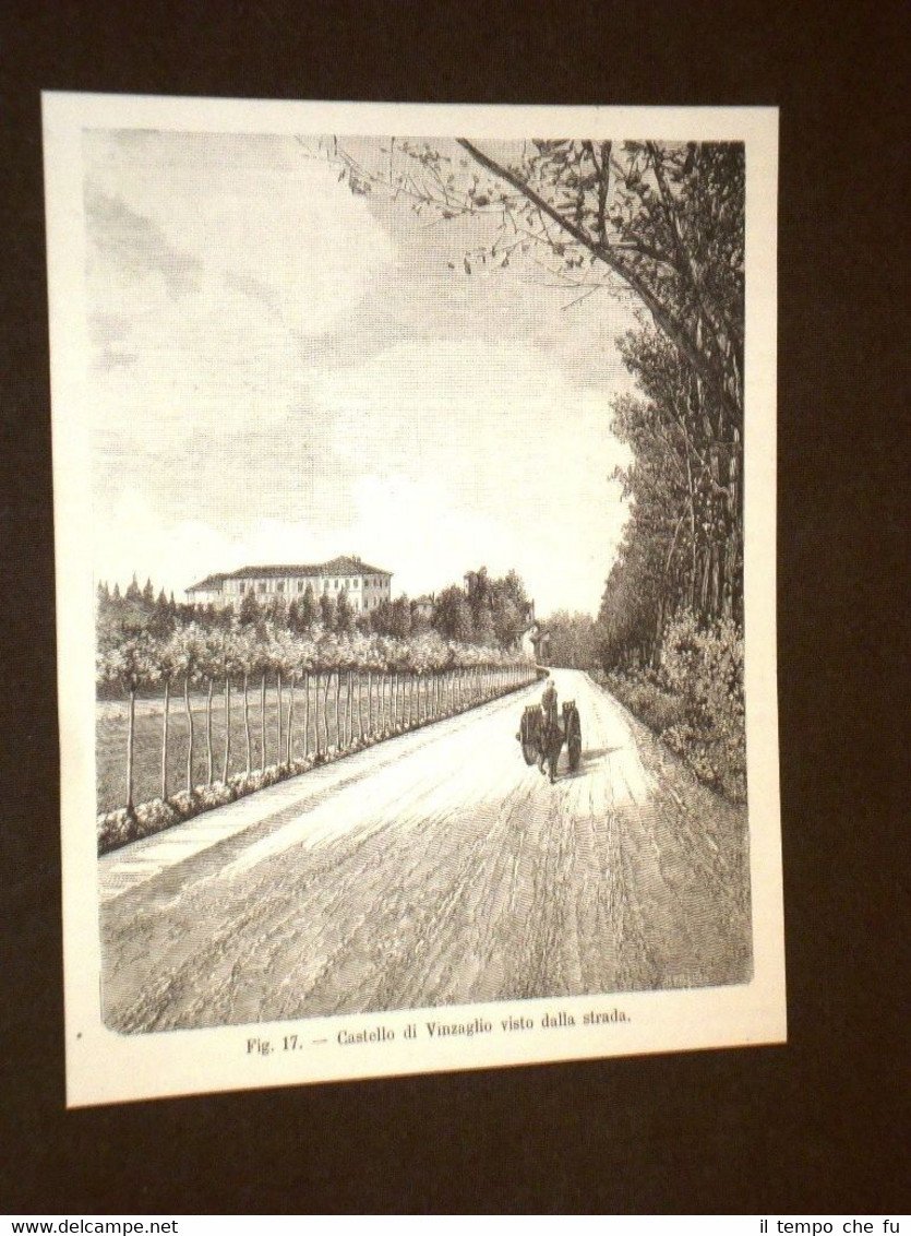 Rara veduta di fine '800 Il Castello di Vinzaglio visto … | Immagine principale