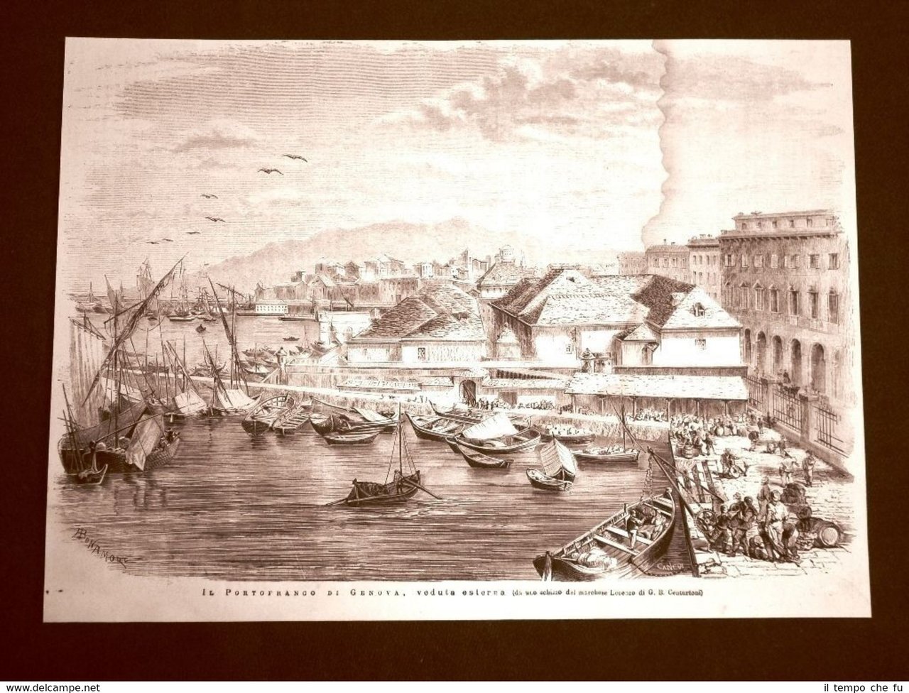 Rara veduta di Genova nel 1875 Il Portofranco, veduta esterna | Immagine principale