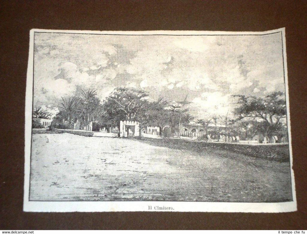 Rara veduta di Zanzibar nel 1886 Il cimitero