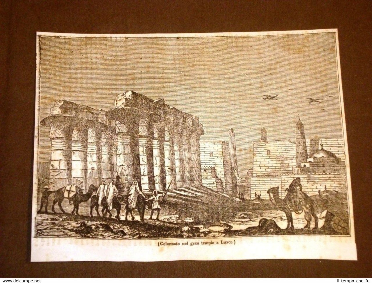 Rarissima incisione del 1836 Colonnato nel Gran Tempio a Luxor …