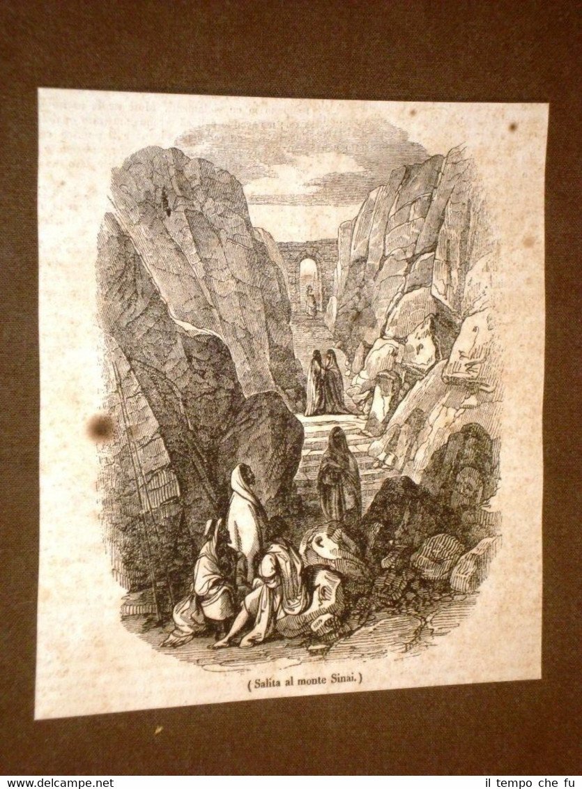 Rarissima incisione del 1836 La salita al Monte Sinai in …