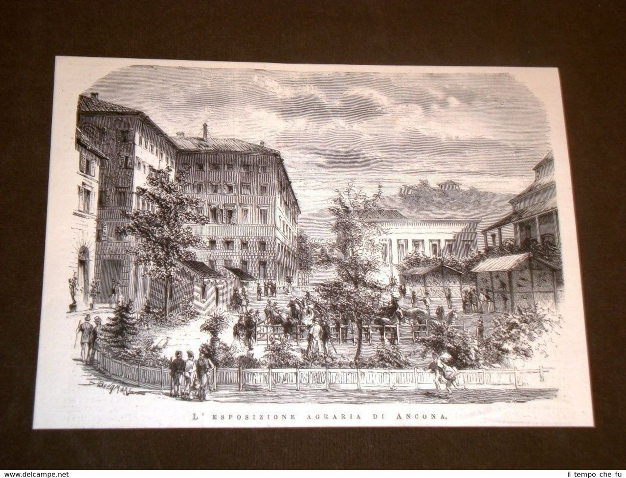 Rarissima veduta del 1877 L'esposizione agraria di Ancona