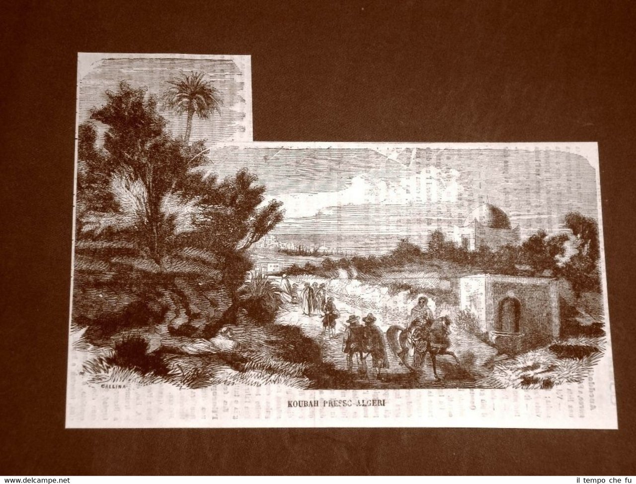 Rarissima veduta di Koubah presso Algeri del 1865 Algeria