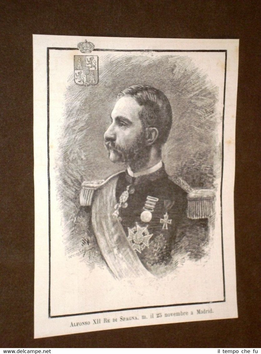 Re di Spagna Alfonso XII di Borbone o Alfonso XII …