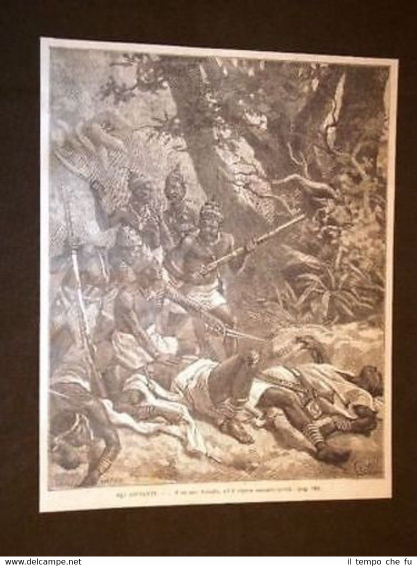 Re e fratello uccisi Impero Ashanti Confederazione Ashanti Asanteman oggi …