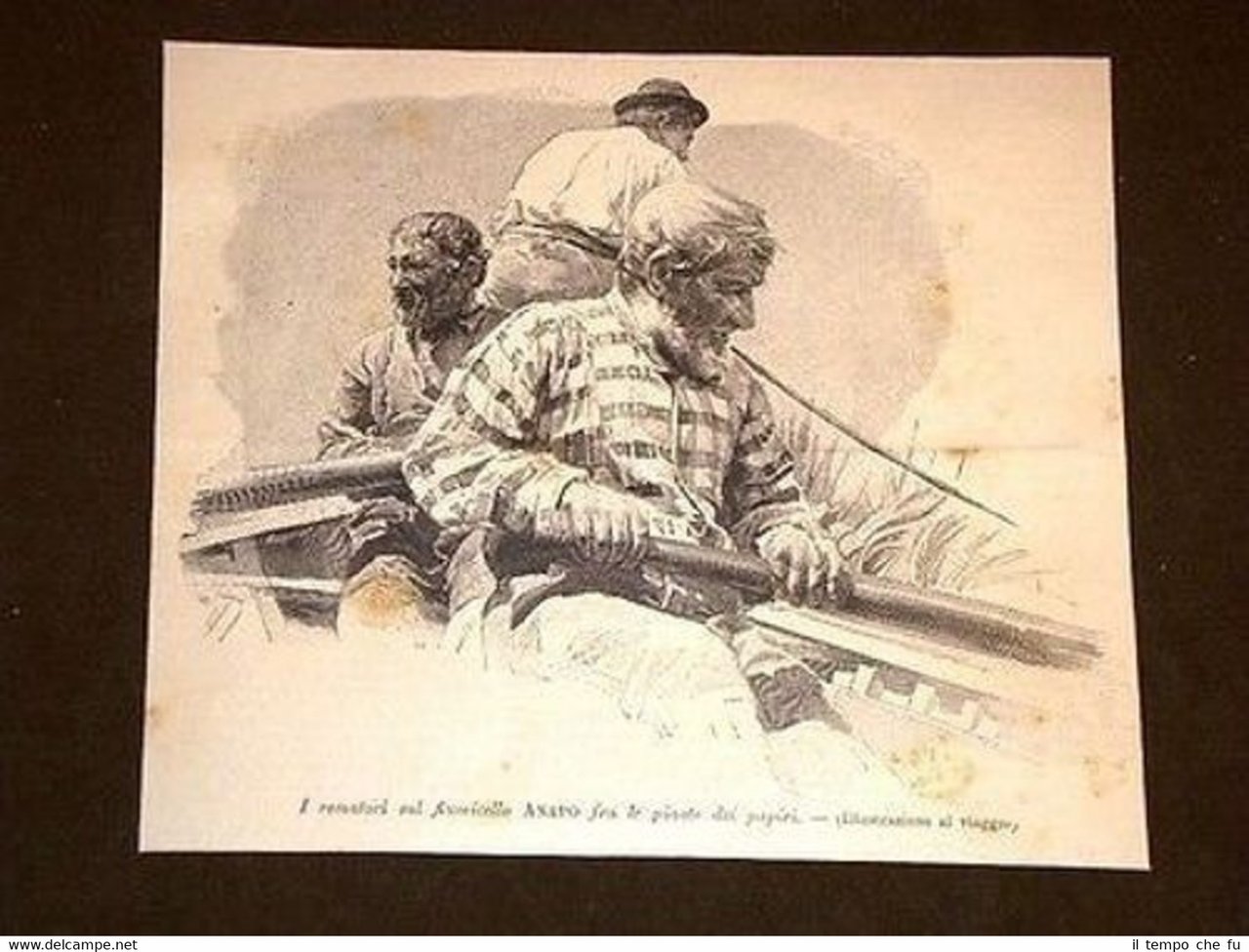 Rematori sul Fiume Anapo presso Buscemi Siracusa