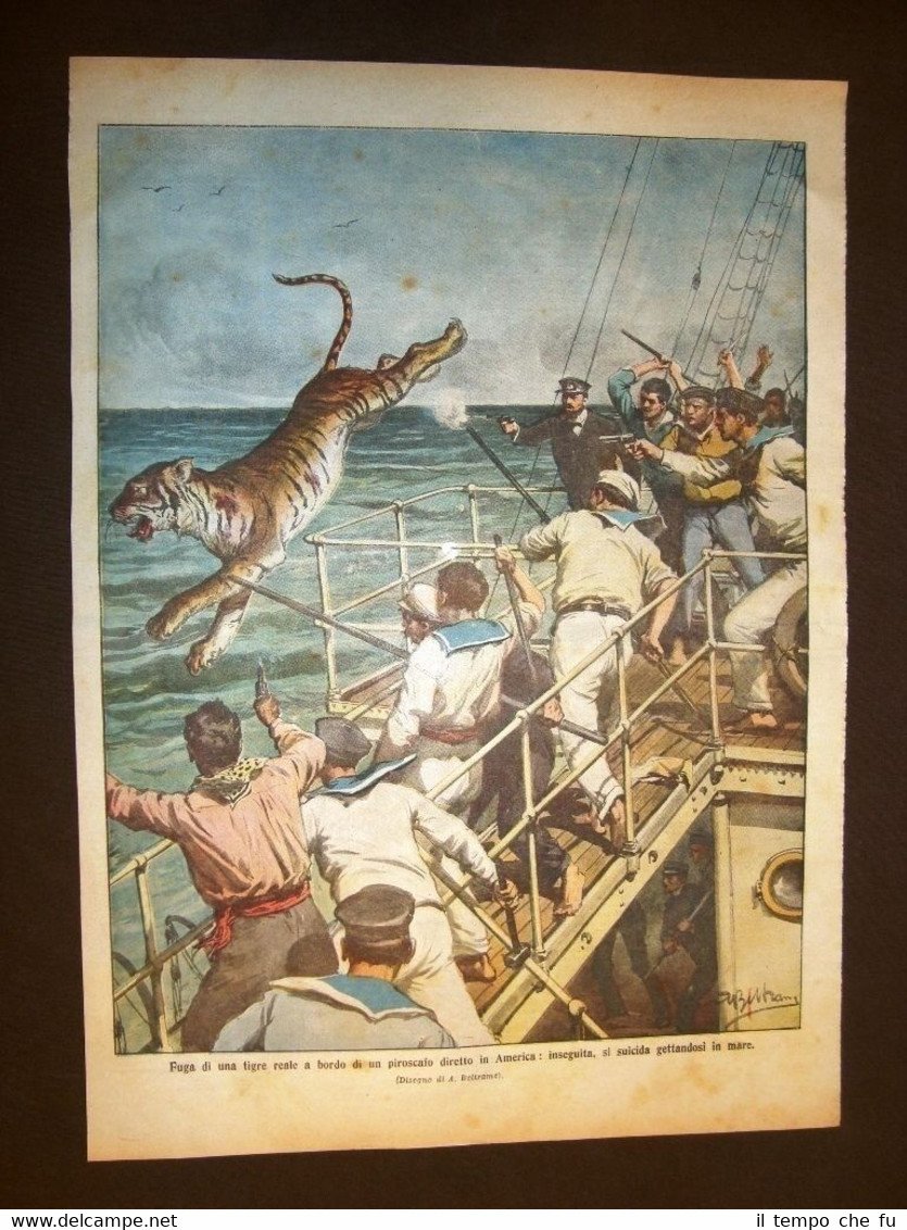 Retrocopertina Domenica del Corriere 1910 America piroscafo Trigre suicida | Immagine principale