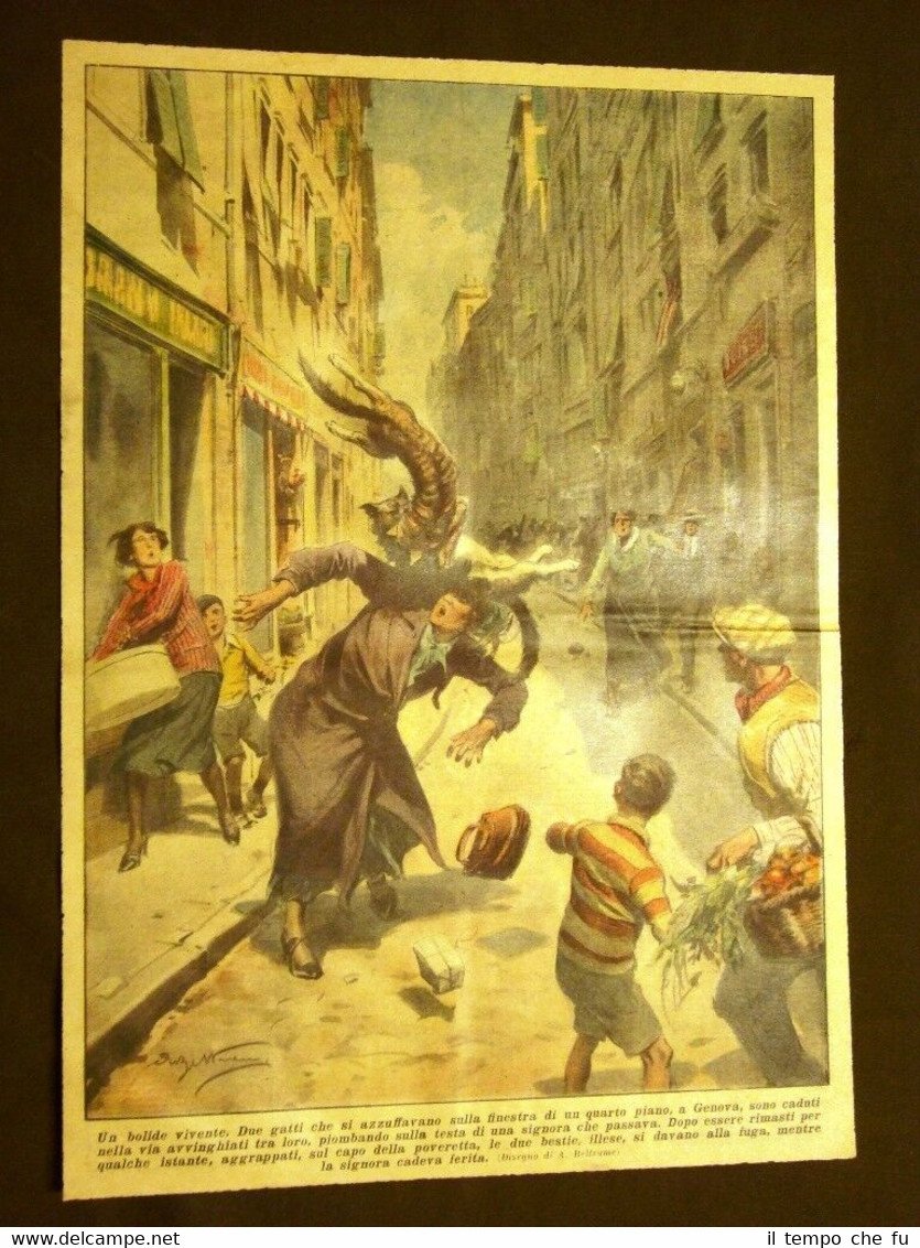 Retrocopertina Domenica del Corriere del 1935 Genova Gatti cadono su … | Immagine principale