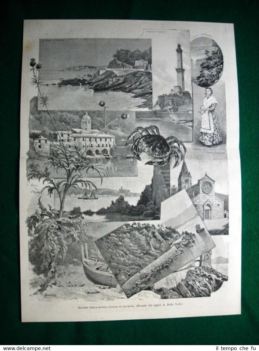 Ricordi della Riviera Ligure di Levante nel 1884, disegni di … | Immagine principale