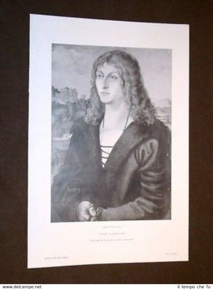 Ritratto di un Giovane Uomo - Albert Durer