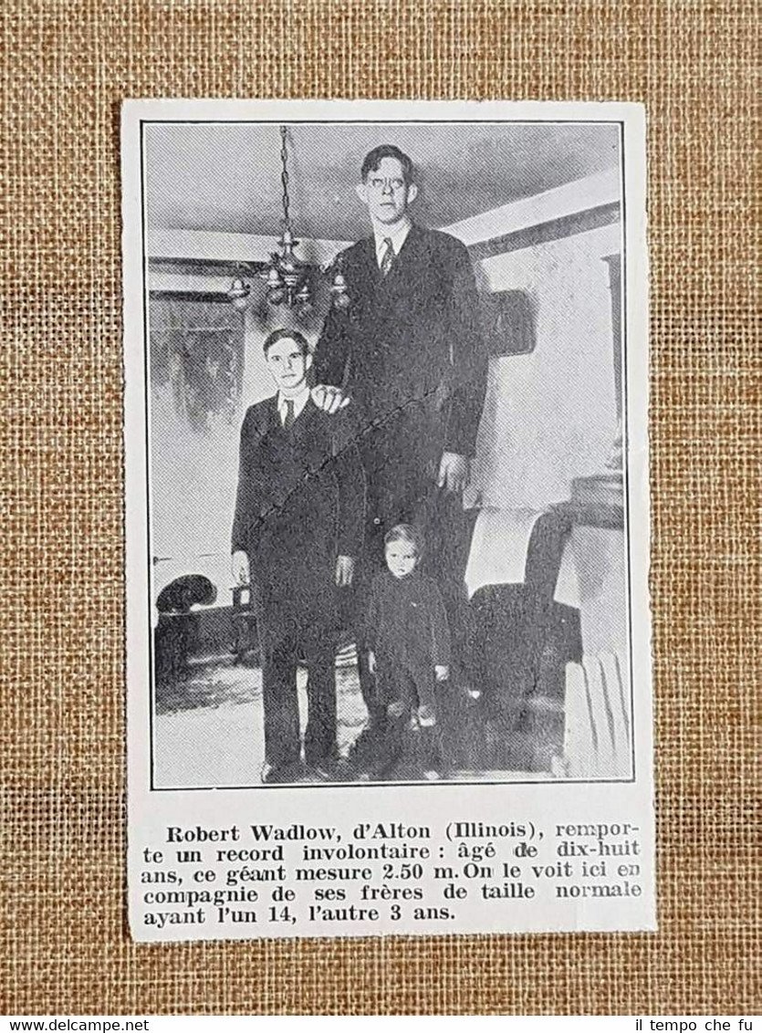 Robert Pershing Wadlow nel 1936 Alton 22 febbraio 1918 – …