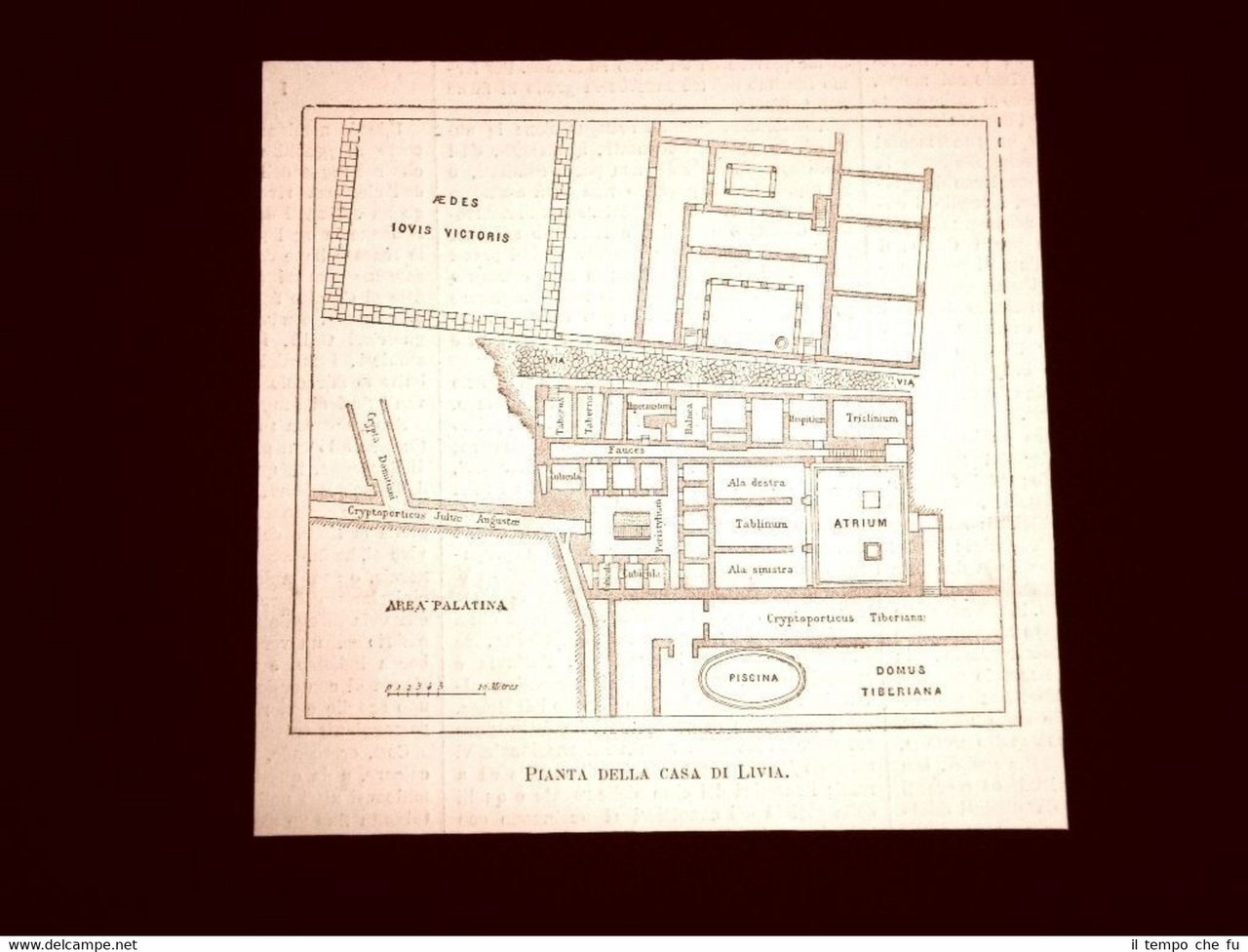 Roma nel 1877 Gli scavi al Palatino Pianta della Casa …