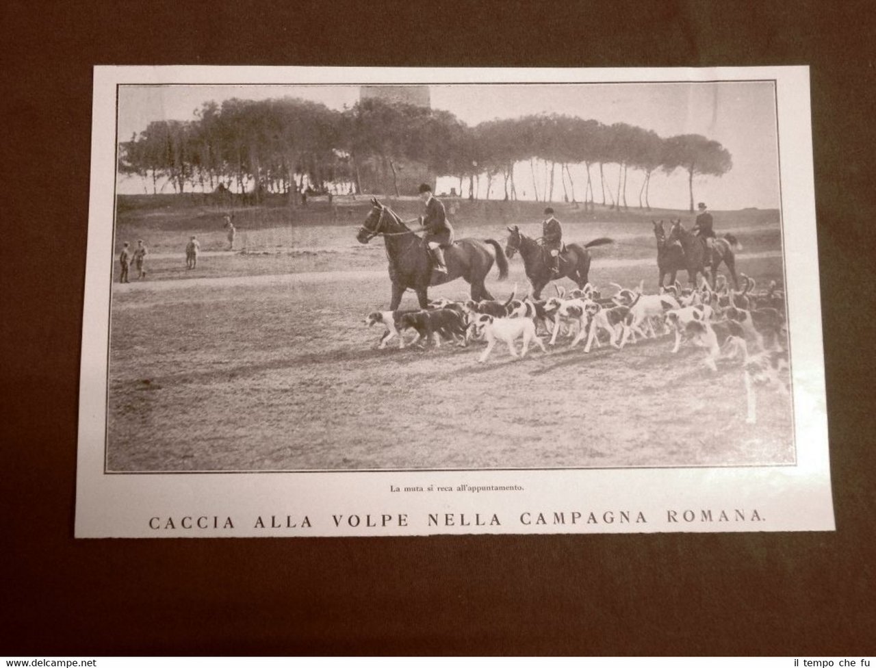 Roma nel 1924 La caccia alla volpe La muta che … | Immagine principale