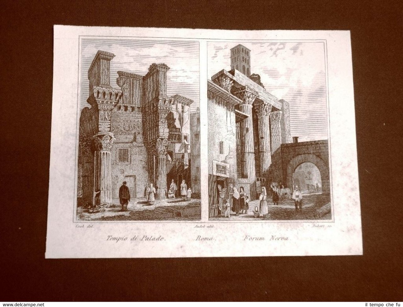 Roma Tempio Palade e Forum Nerva Incisione su rame all'acquaforte …