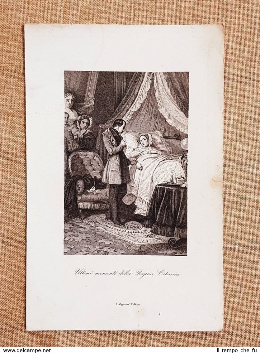 Salenstein 5 ottobre 1837 Morte Ortensia di Beauharnais Incisione rame …