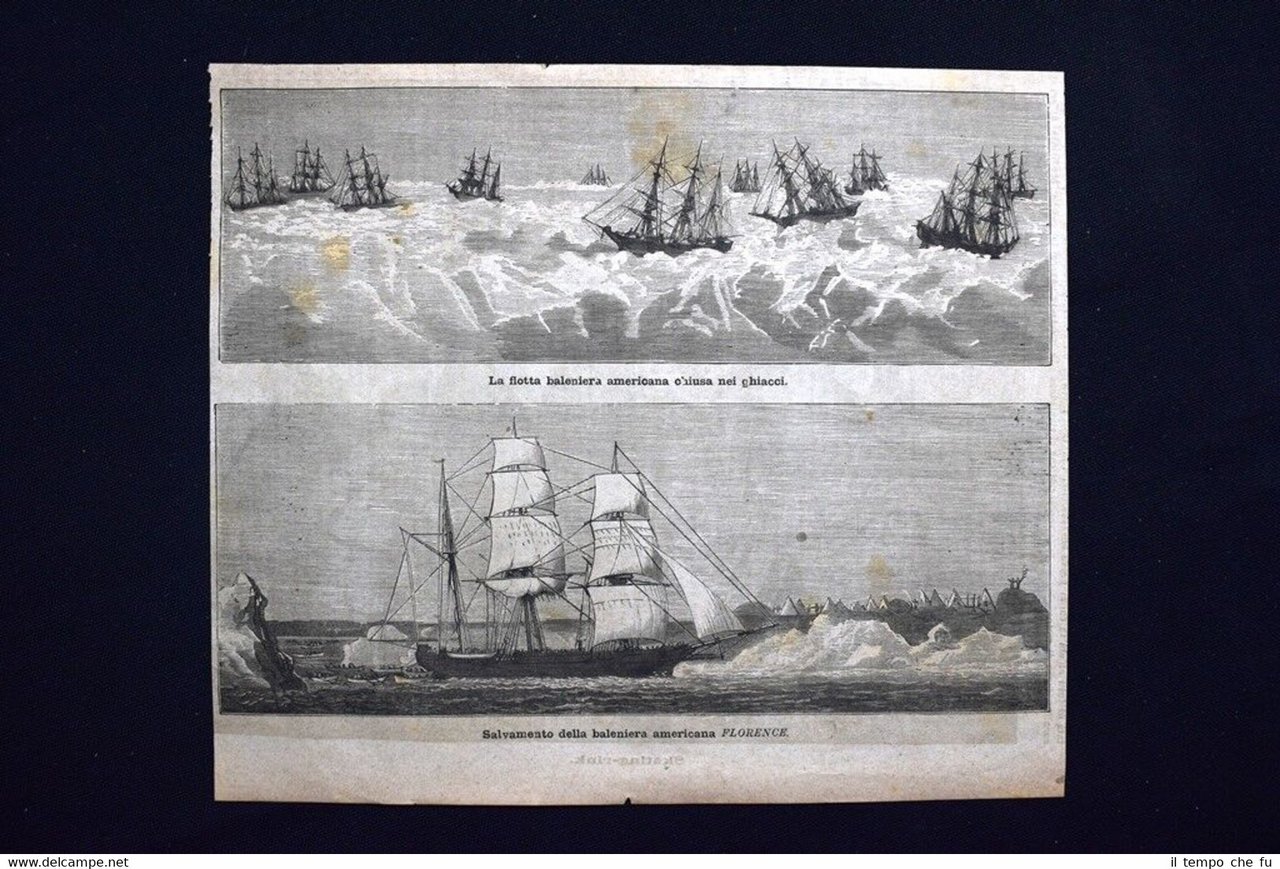 Salvamento della baleniera americana Florence Incisione del 1876