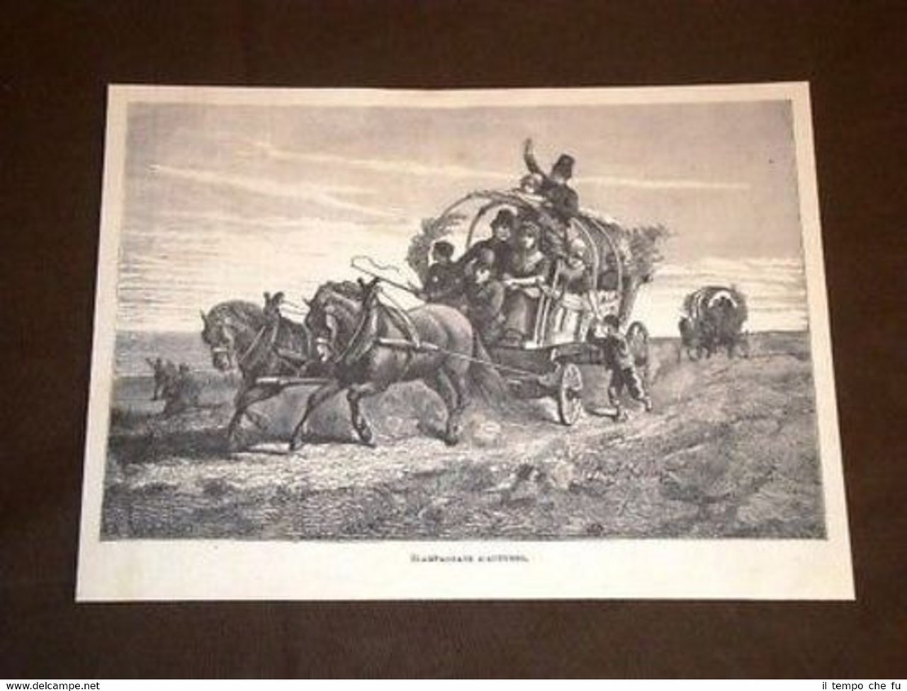 Scampagnate di Autunno In Campagna con il carro