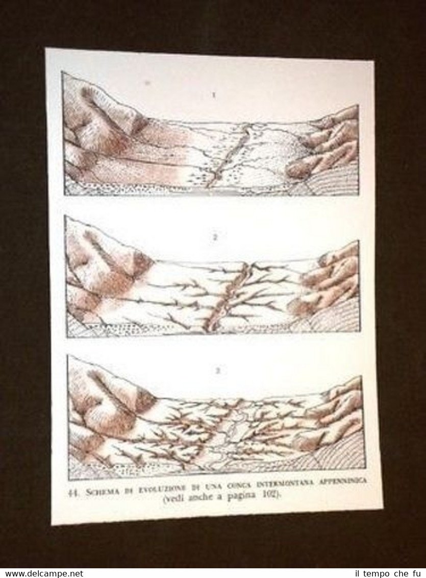 Schema d'Evoluzione Conca intermontana Appenninica