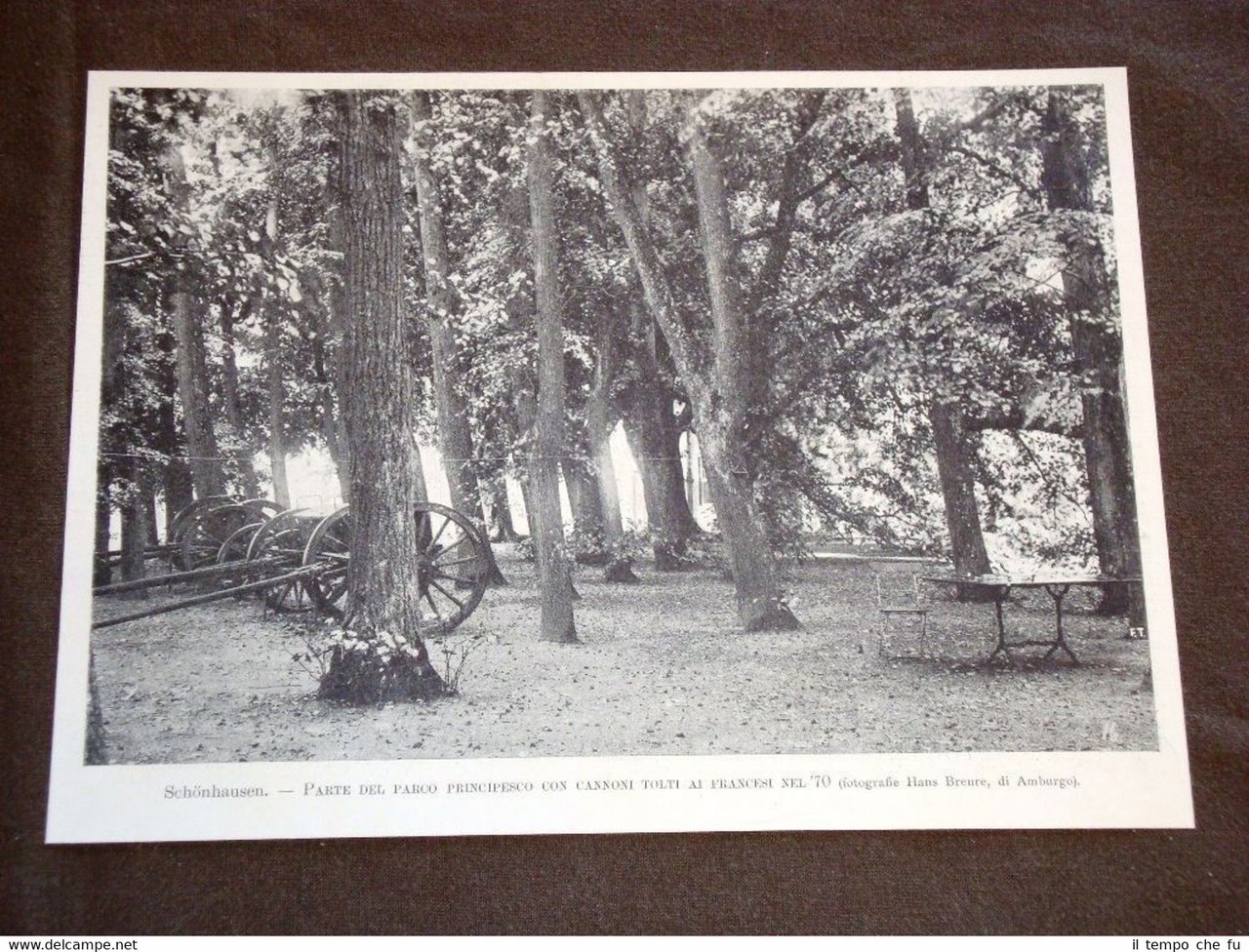 Schönhausen nel 1898 Parco con i cannoni tolti alla Francia …