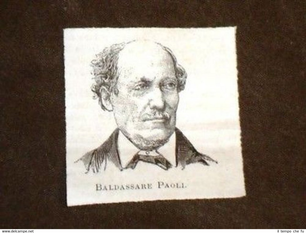 Senatore Baldassarre Paoli di Firenze