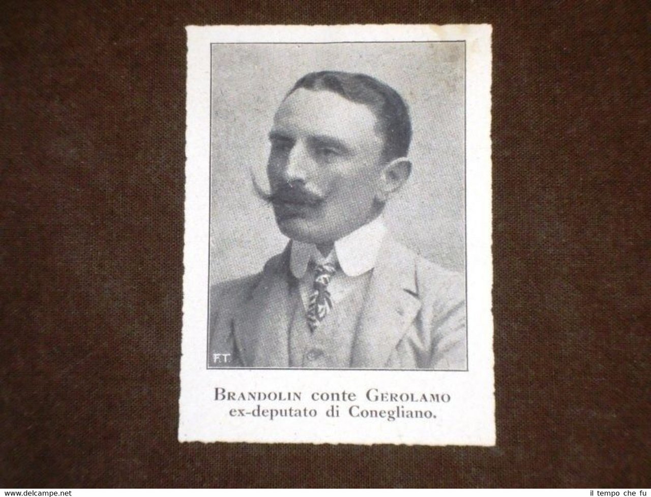 Senatore Conte Gerolamo Brandolin di Conegliano