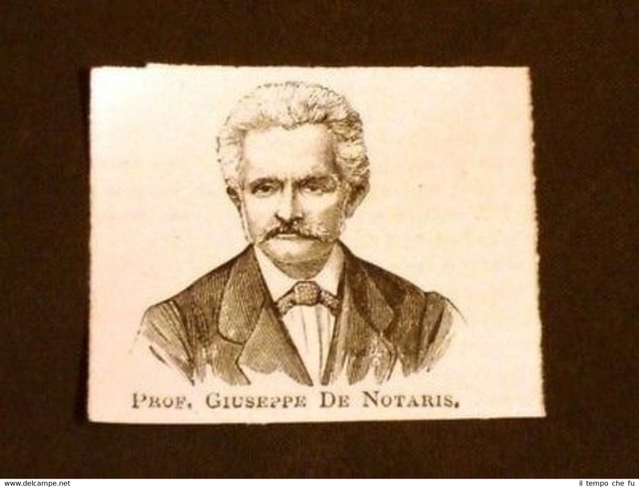 Senatore Giuseppe De Notaris di Milano