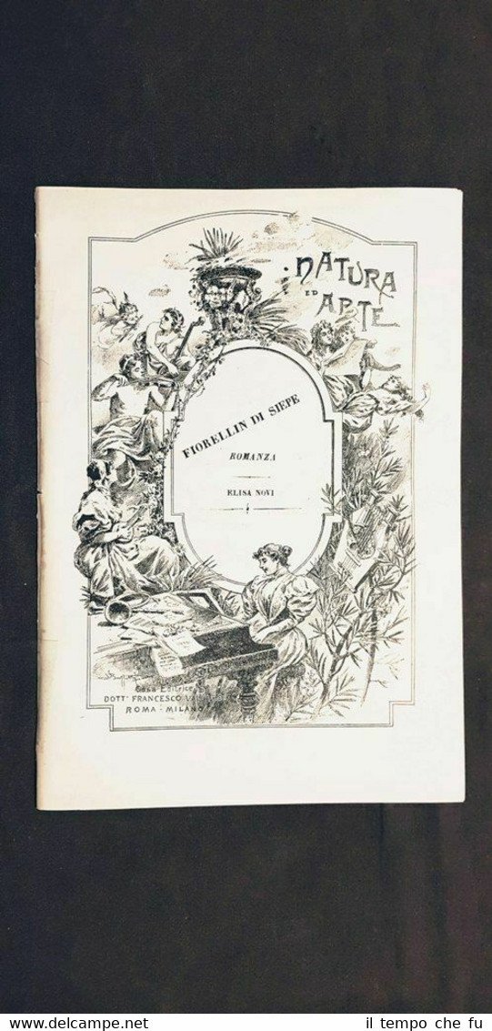 Spartito musicale del 1895 Fiorellin di siepe Romanza di Elisa …